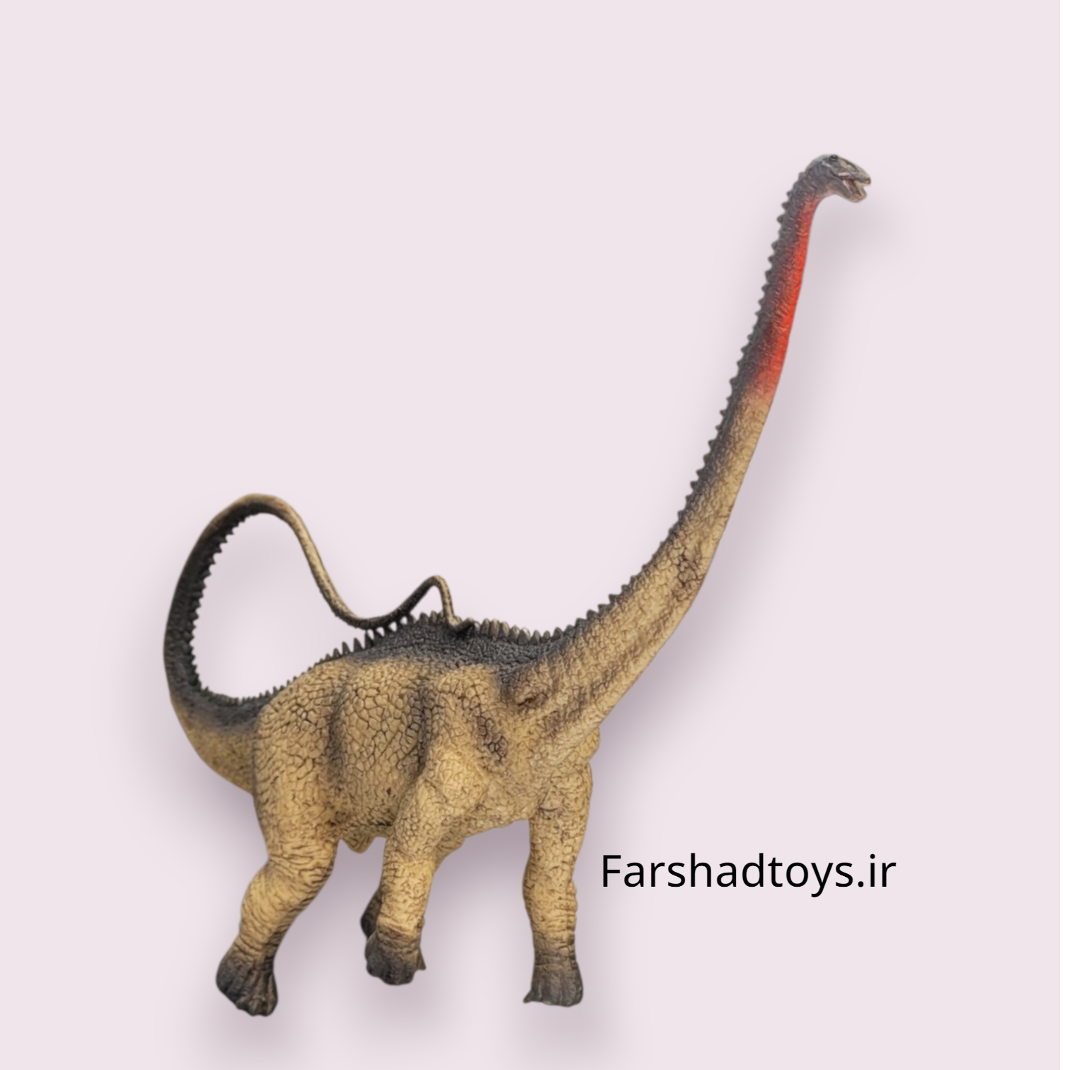 نمای روبهرو فیگور دایناسور دیپلودوکوس Paradise Animal با گردن بلند در فرشاد تویز