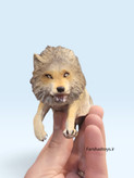 نمای روبهرو فیگور گرگ خاکستری Animal Paradise با نمایش اندازه واقعی در دست فرشاد تویز